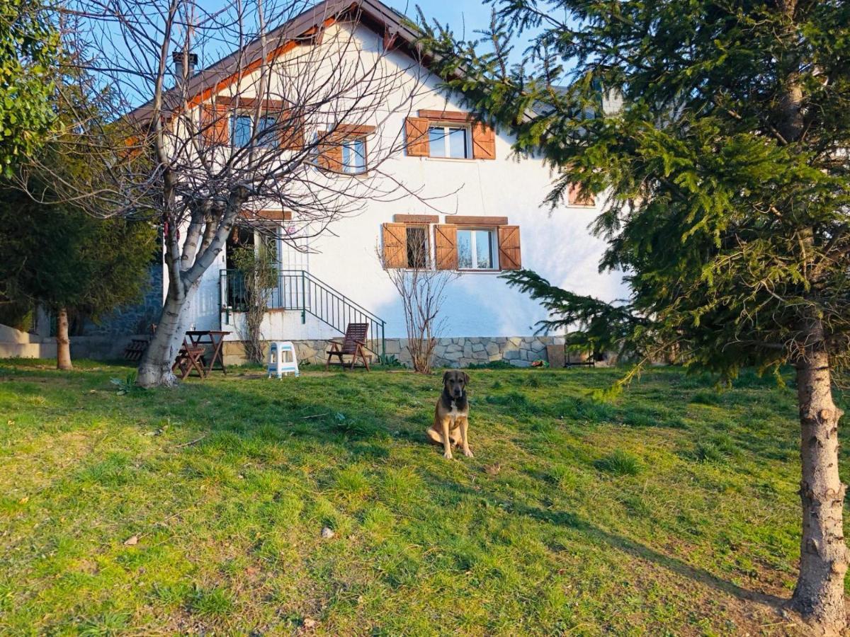 Casa Con Jardin, 4 Habitaciones Y Mucho Encanto En Cercedilla Exterior foto
